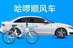 3分钟科普!本溪单位电话号码大全_哔哩哔哩-3